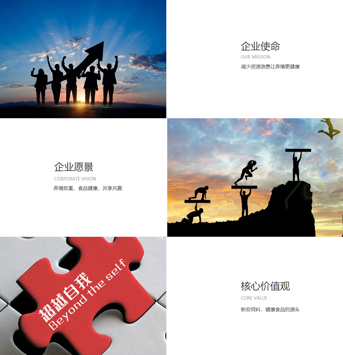 千亿平台(图1)